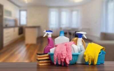 Are House Cleaning Services Alexandria, VA Worth the Money?